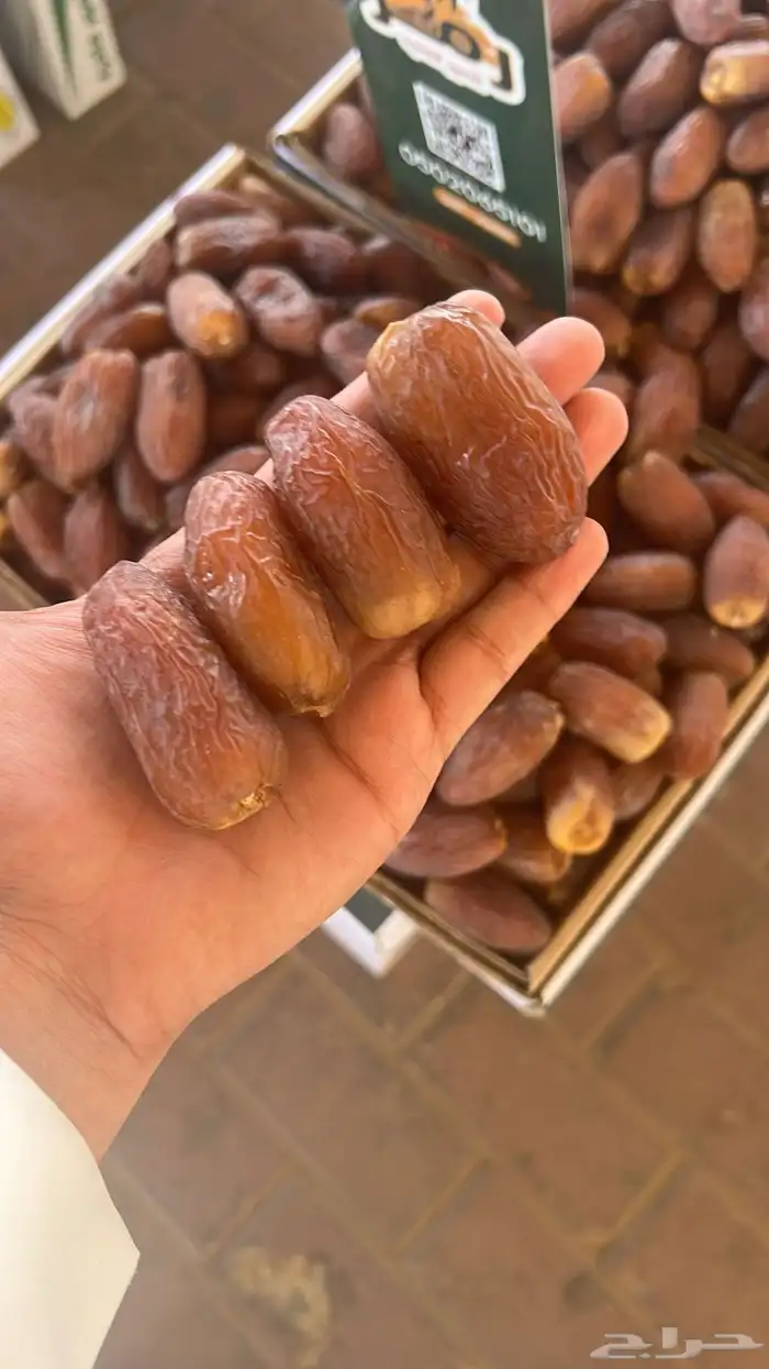 تمر فاخر رمز التمور 5