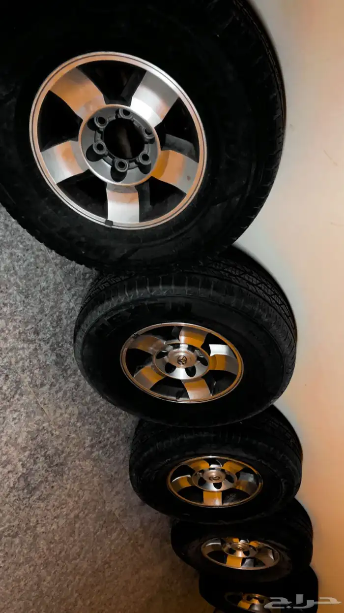 جنوط اف جي وكالة 0