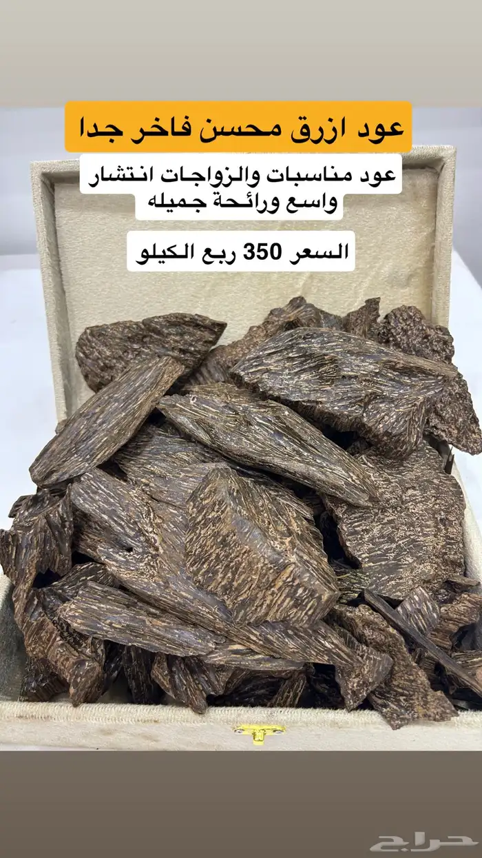 عود ازرق محسن فاخر 0