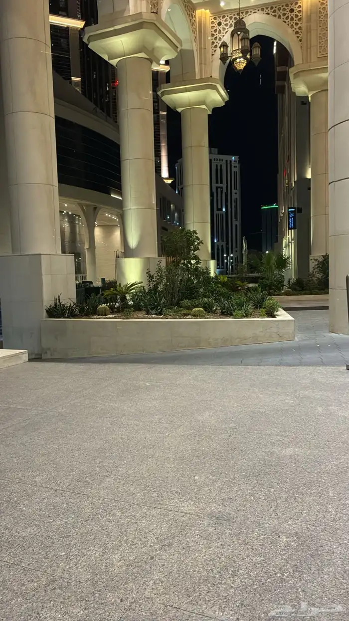 مطلوب شقة غرفة وصالة 0