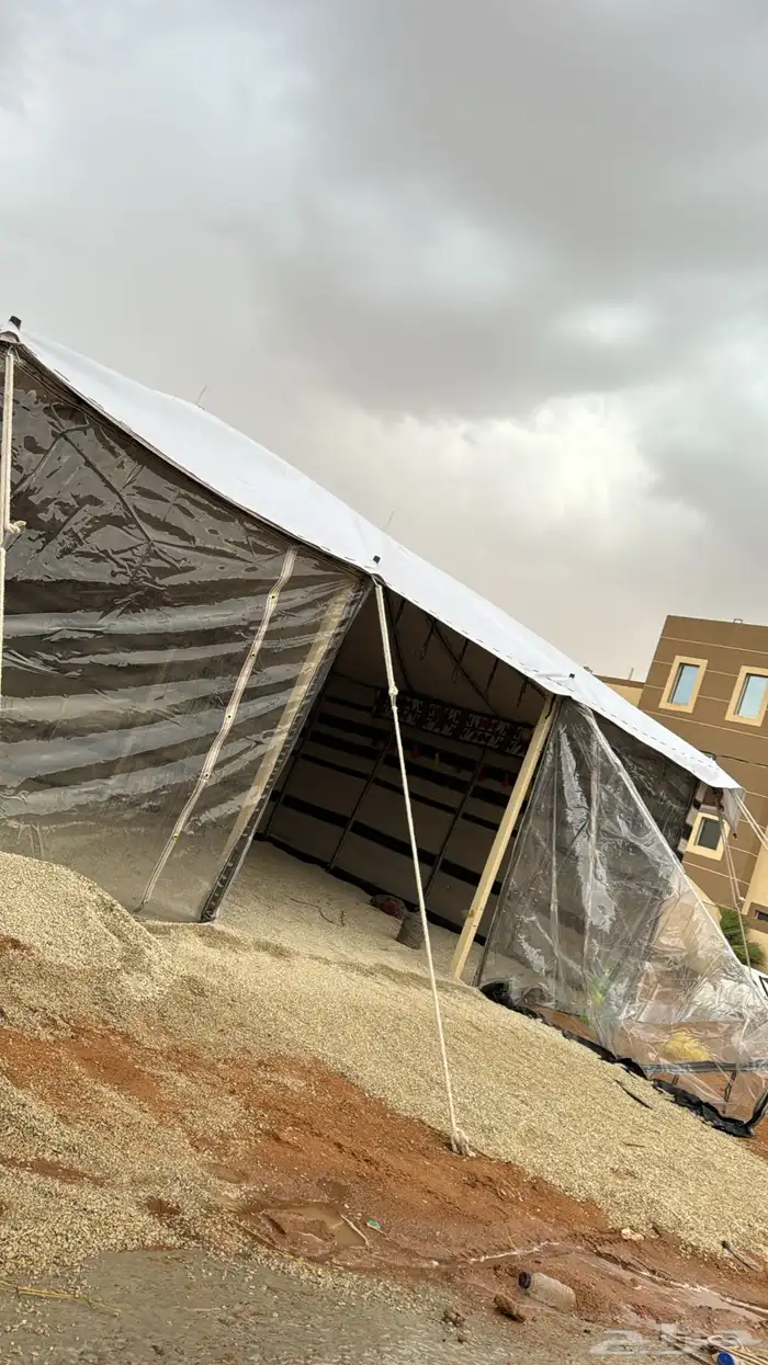بكج بيت الشعر 7 5 3