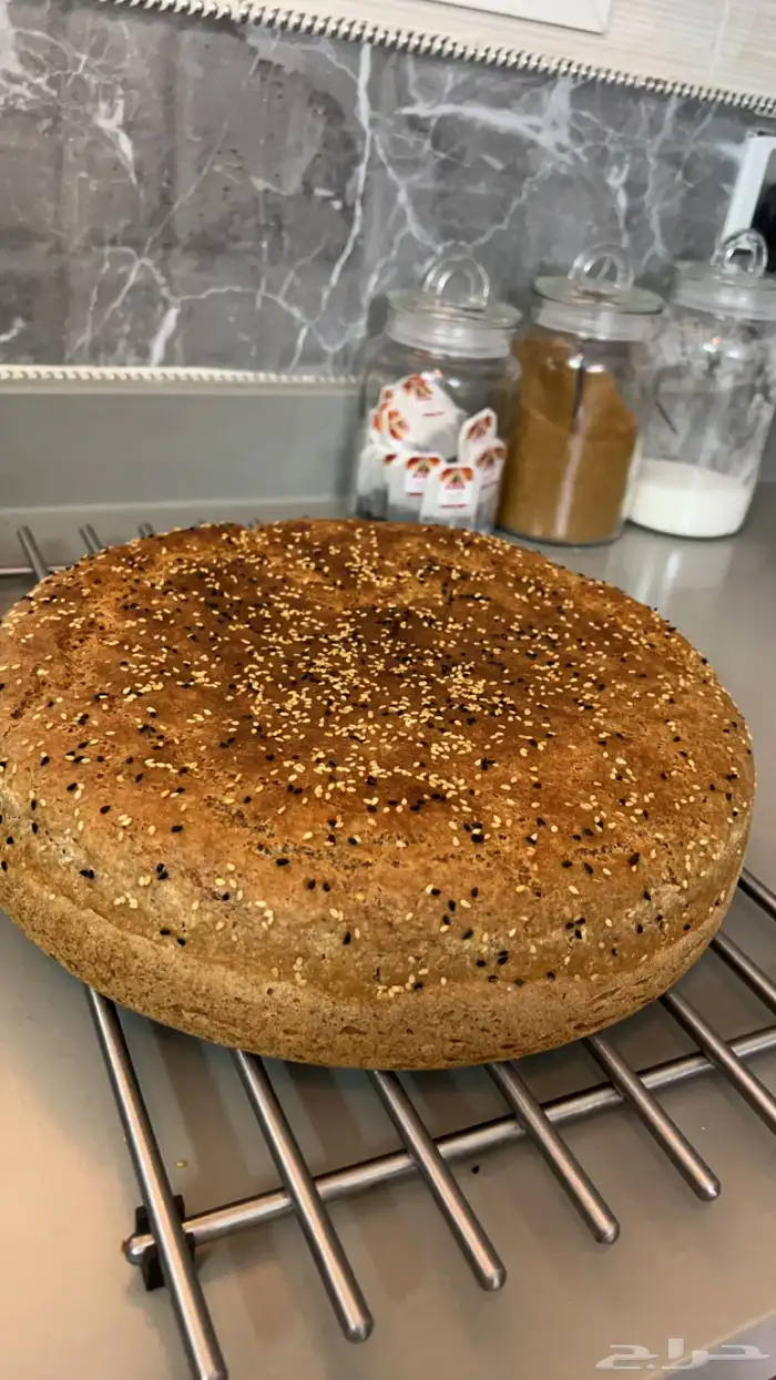 عريكة من يد الجنوبية 3