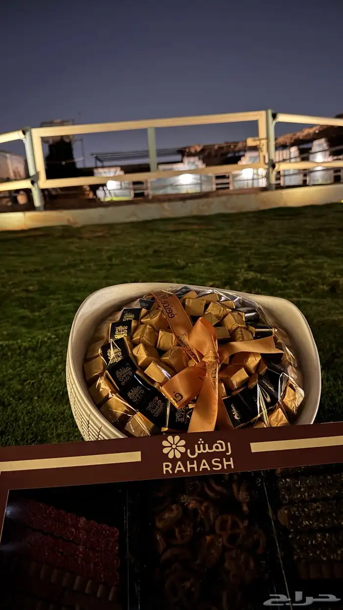تاجير غرف خيل  اسطبل يومي ركوب خيل  تدريب خيل تدريب ركوب 7