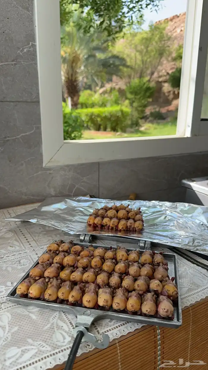 داخل شحيماتيات لل ب ي ع 0