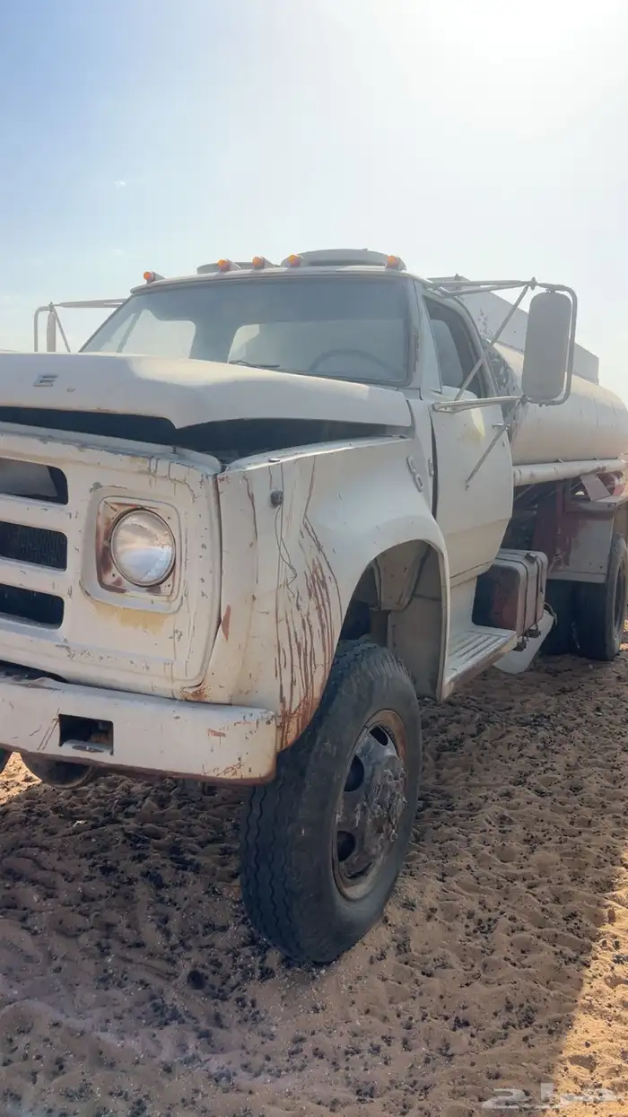 وايت ماء دوج شغال 0