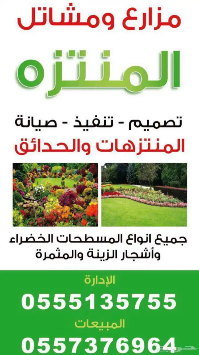 ثيل القصيم 2