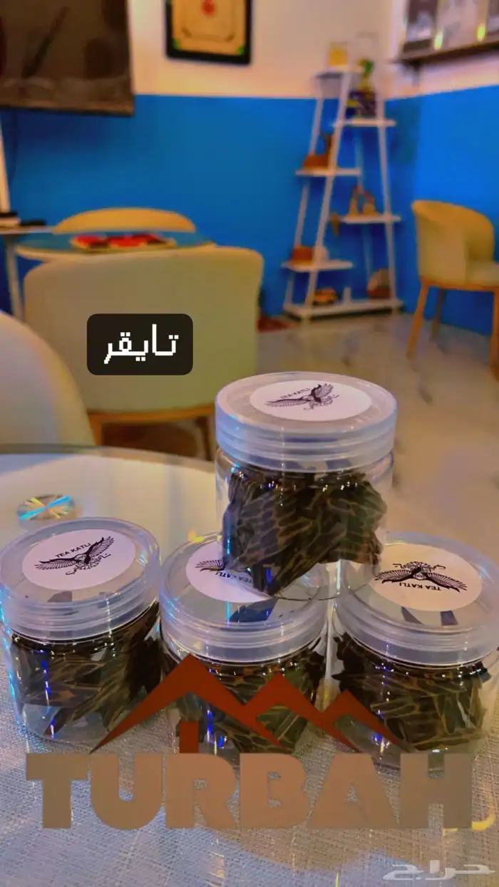 تايقر 1