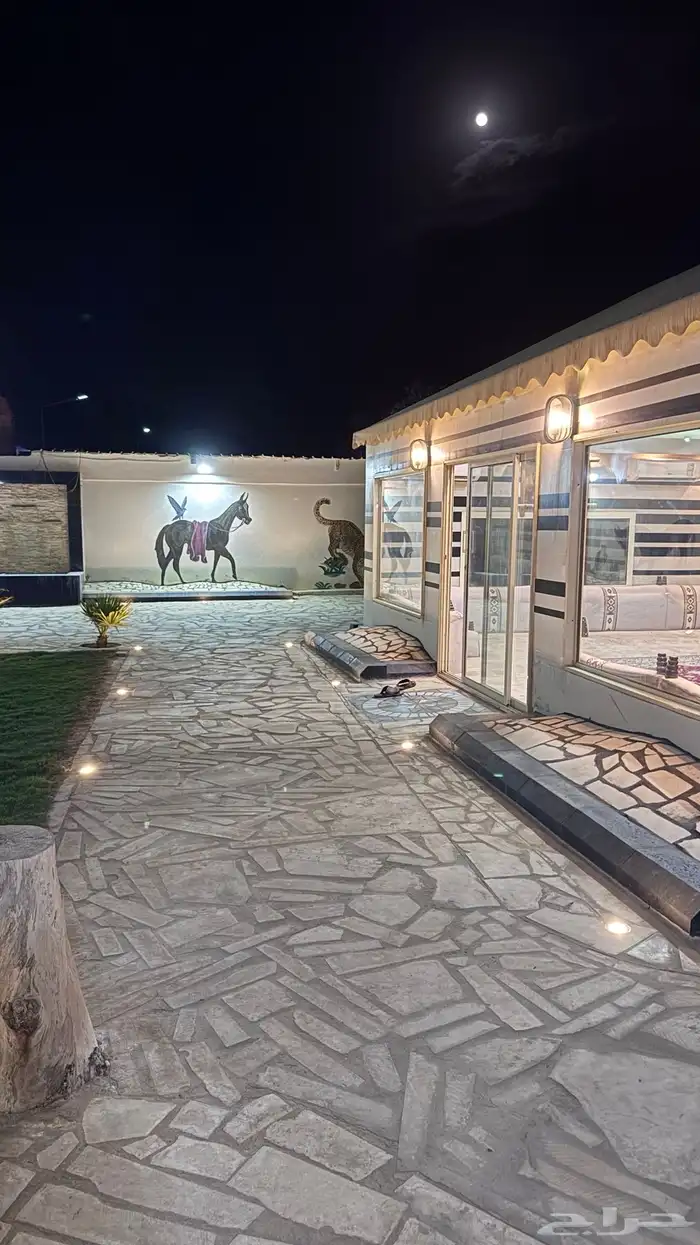 تاجير غرف خيل  اسطبل يومي ركوب خيل  تدريب خيل تدريب ركوب 6
