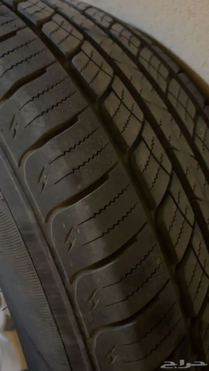 جنوط اف جي وكالة 3