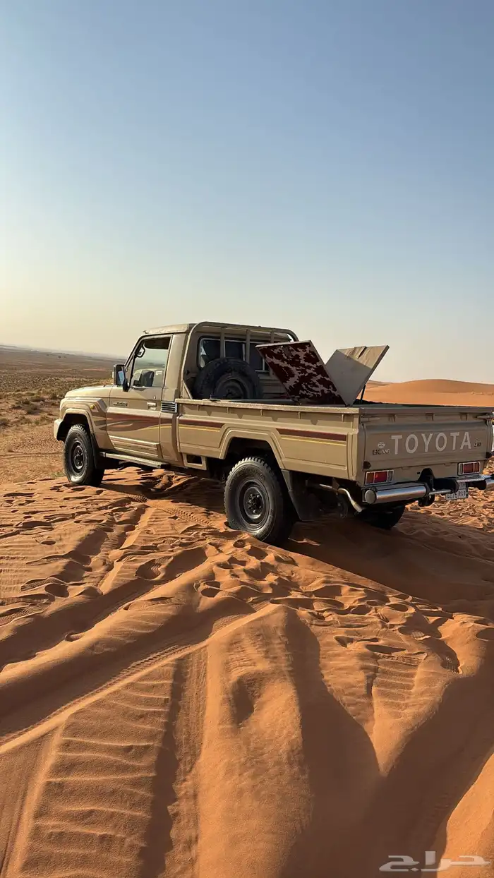 للبيع شنطة شاص فراشة 3
