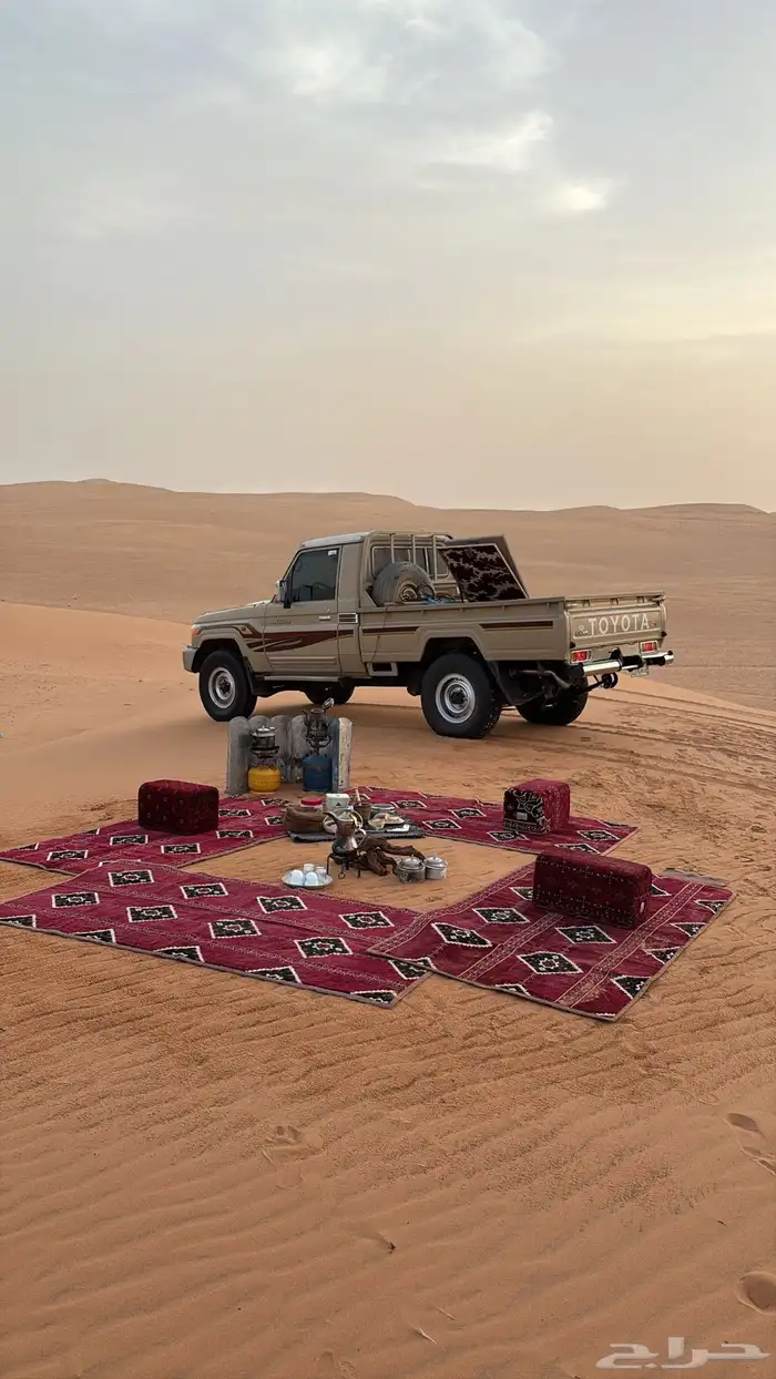 للبيع شنطة شاص فراشة 0
