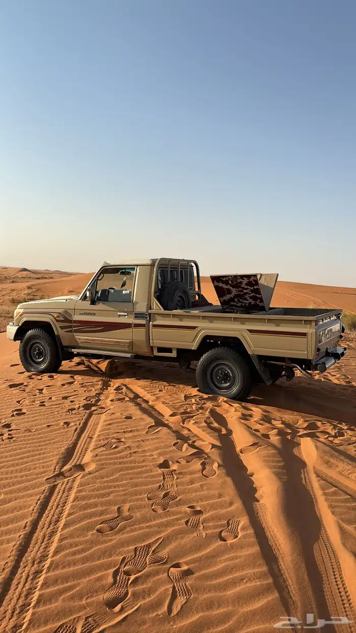 للبيع شنطة شاص فراشة 4