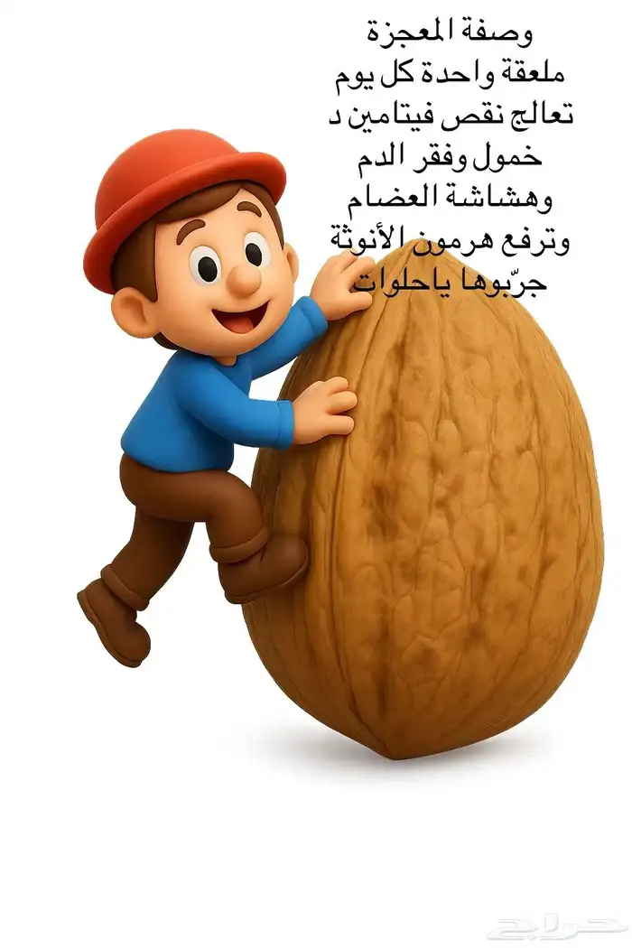 خلطة عسل اصلي بالمكسرات ذات الجودة العاليه 2