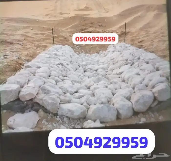 حجر بيسكورس حجر الصمان 1