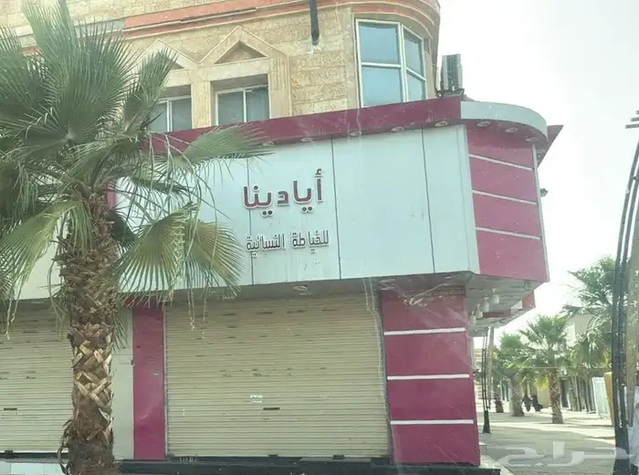 محل للتقبيل 0