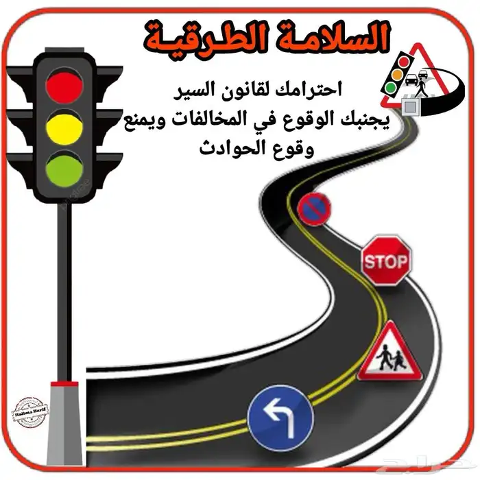 مدرب قيادة سيارات معتمد 8