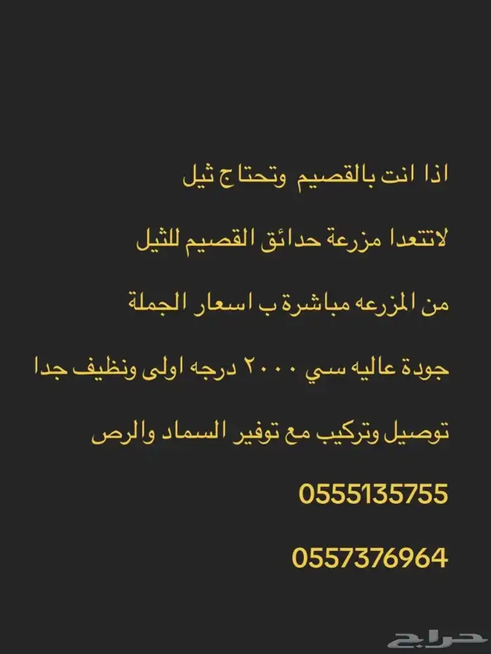 ثيل القصيم 0