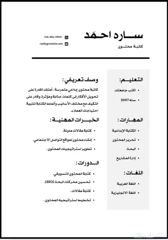 تصميم سيرة ذاتية CV 2