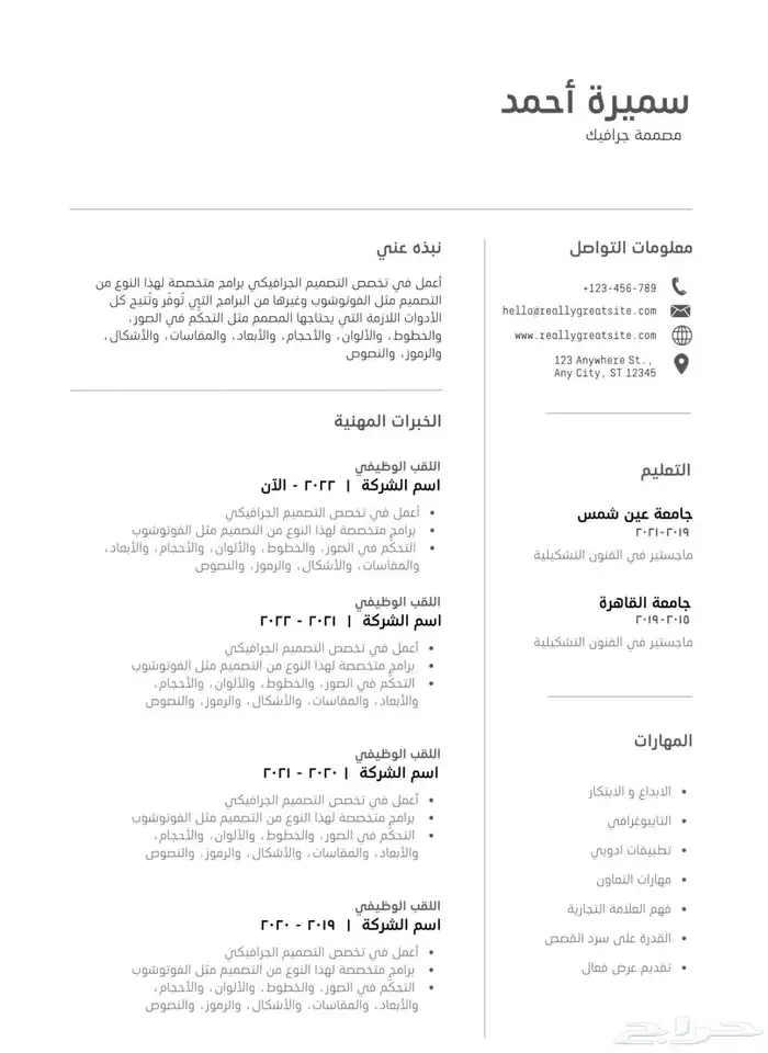 تصميم سيرة ذاتية احترافية CV 3