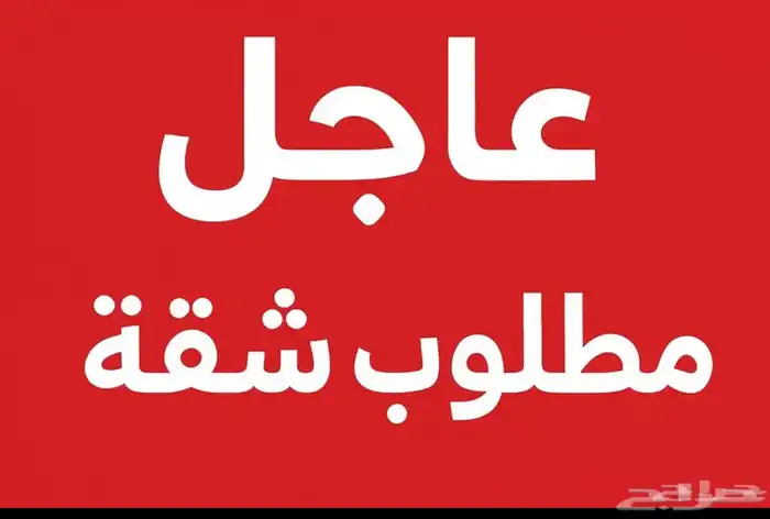 مطلوب شقه 0