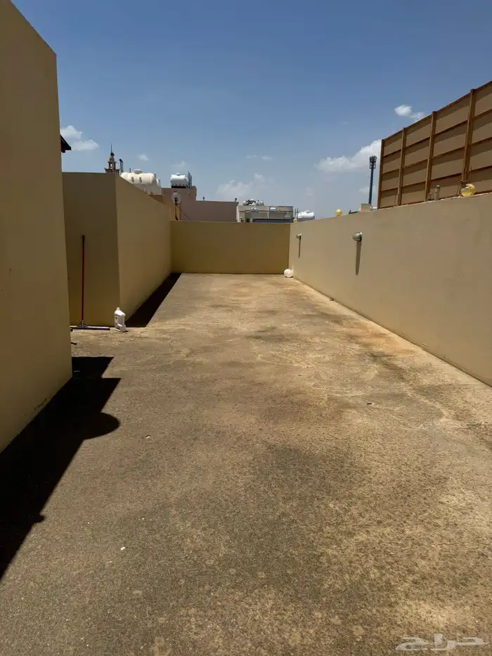 شقه للايجار 16