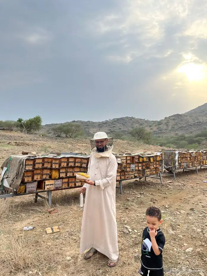 عسل سدر وسمرة على الشرط خاضع للفحص المجهري والمخبري 5