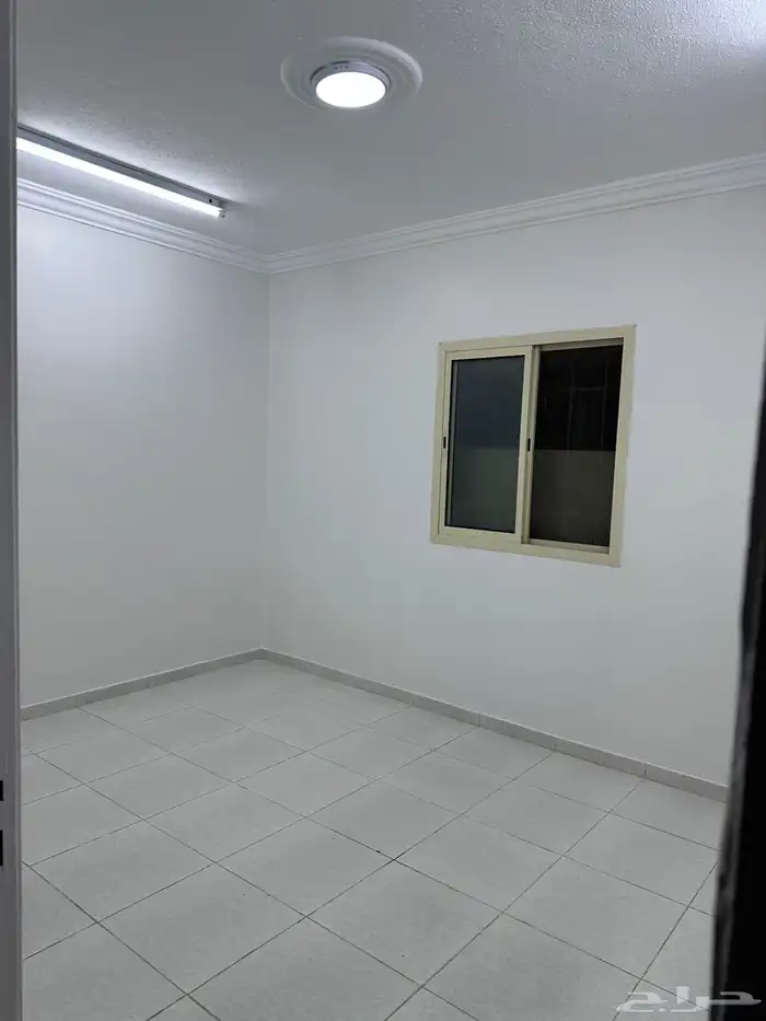 شقه للايجار 10
