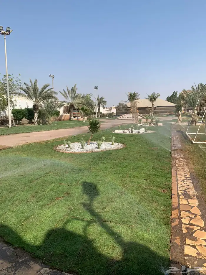 ثيل طبيعي او نجيله مشروطه مضمونه 13
