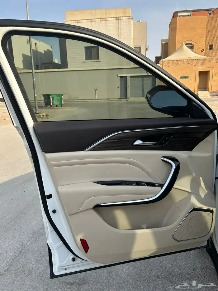 فاو 2024 بيستون T77 للبيع 8