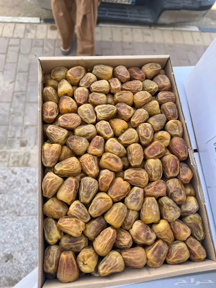 تمر فاخر رمز التمور 6