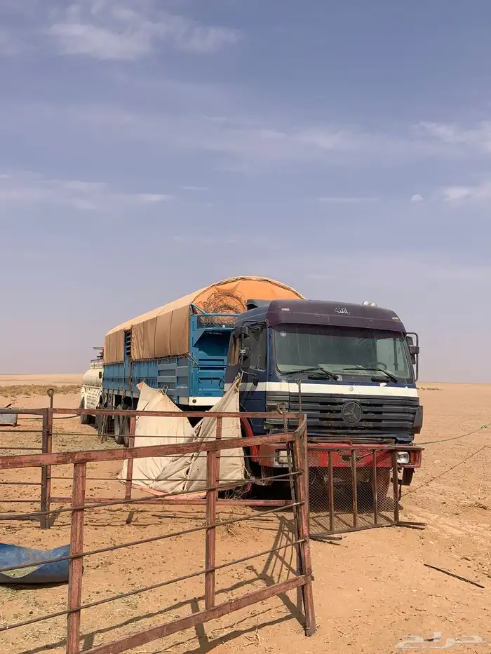 راس البي 97 مسقط مع تيدر طول 12 2