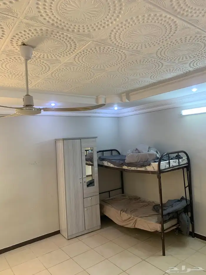 ضبا المقيطع 4