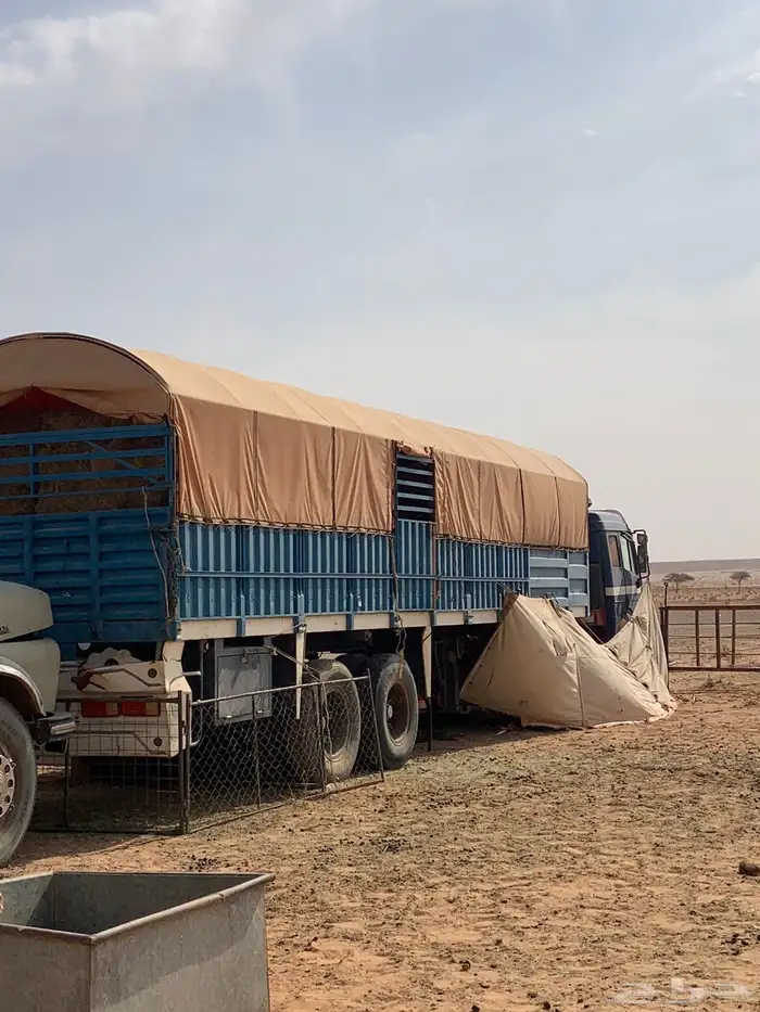 راس البي 97 مسقط مع تيدر طول 12 0