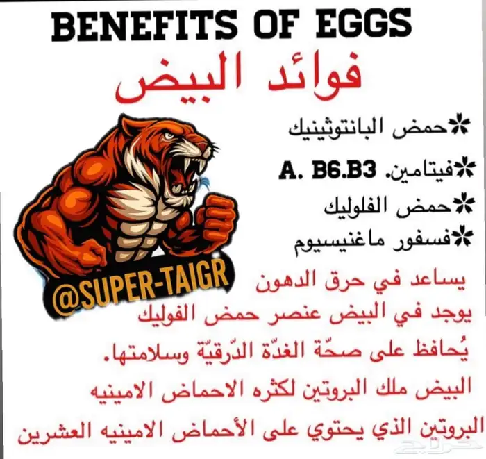 رياضه وتعذيه 1