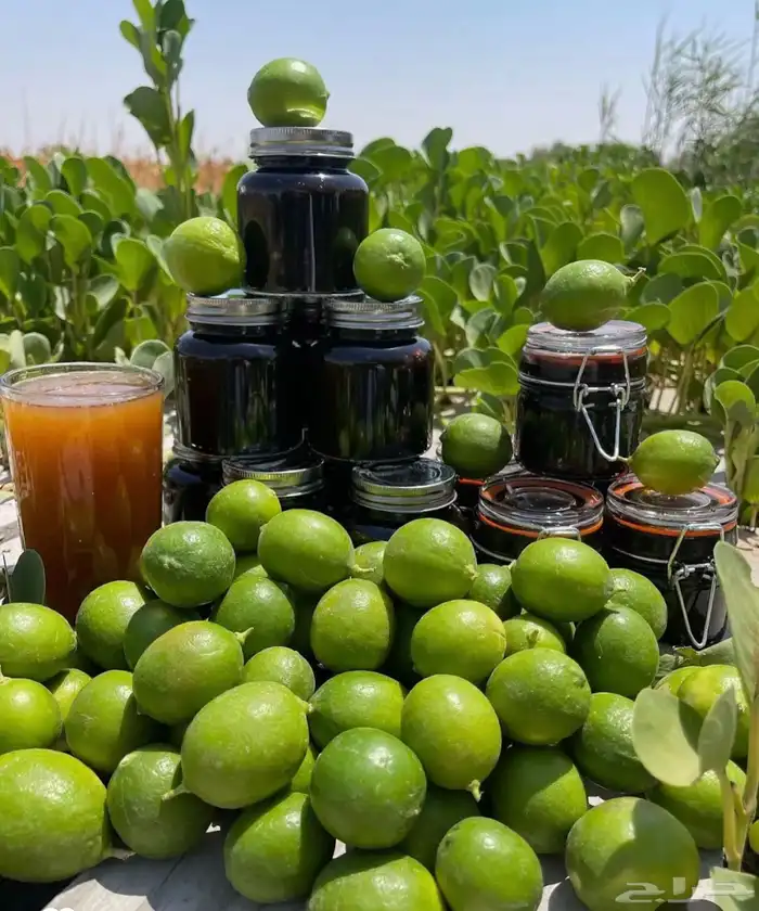 الليمون الحساوي   اطلب واشحن معنا 1