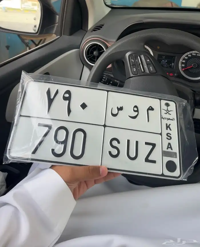 لوحة موس 790 تم البيع 0