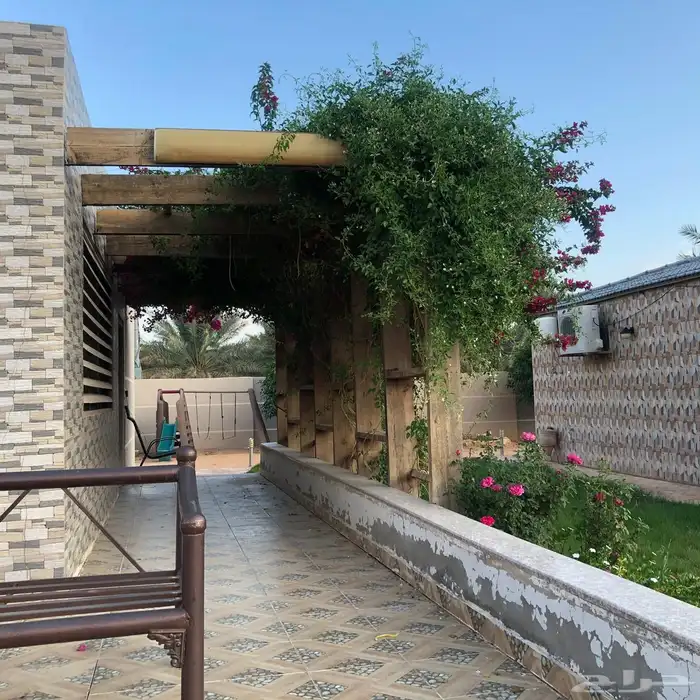 للبيع مزرعه عيون الجواء القصيم 25