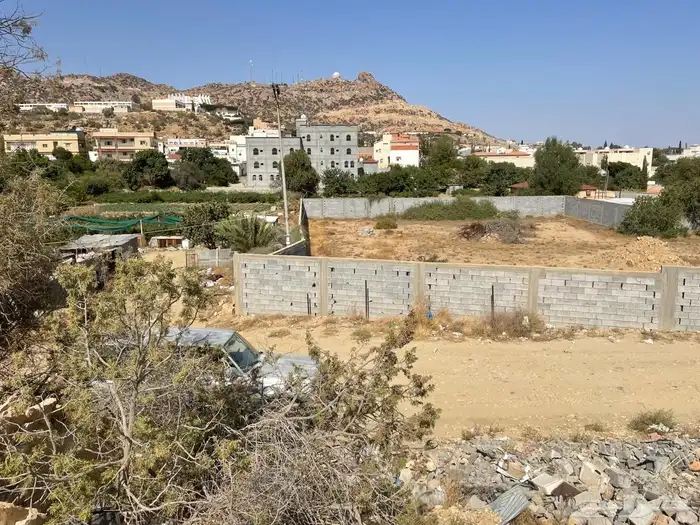 أرض للبيع باجمل المناطق السياحية بالطائف - الهدا 1