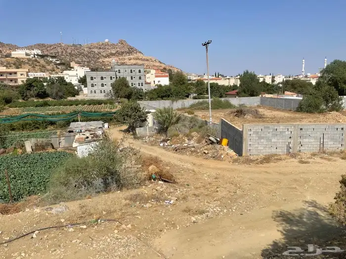 أرض للبيع باجمل المناطق السياحية بالطائف - الهدا 0