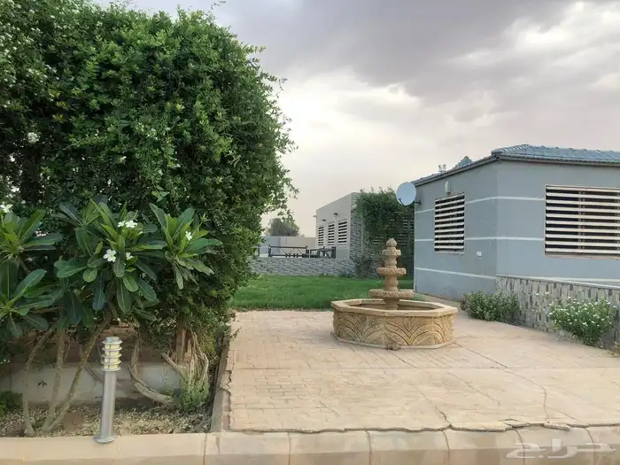 للبيع مزرعه عيون الجواء القصيم 15