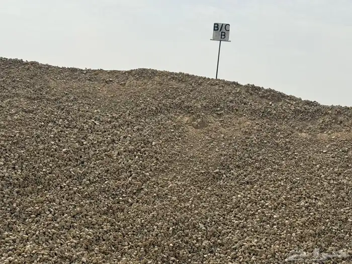 بي  سكورس وصبيز 2