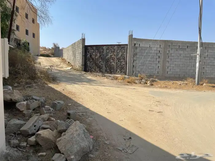 أرض للبيع باجمل المناطق السياحية بالطائف - الهدا 2