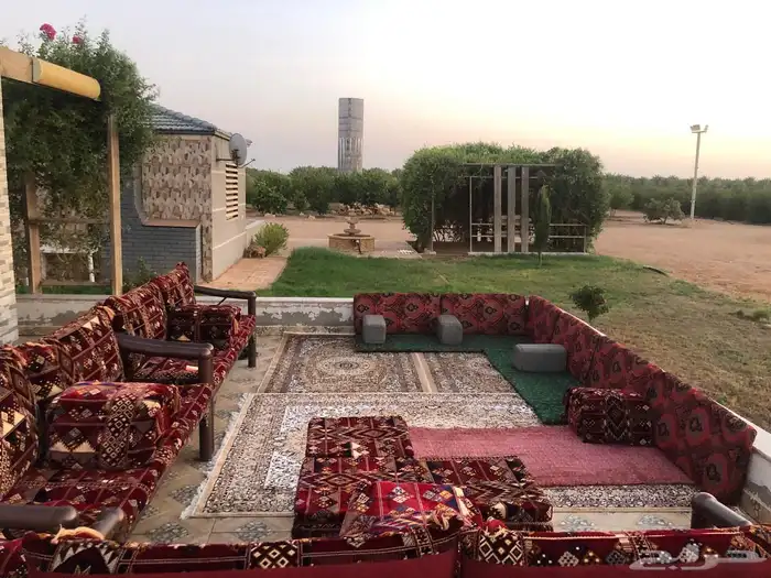 للبيع مزرعه عيون الجواء القصيم 13