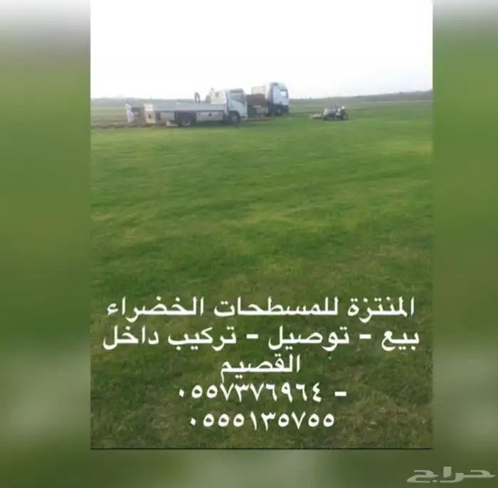 ثيل القصيم 1