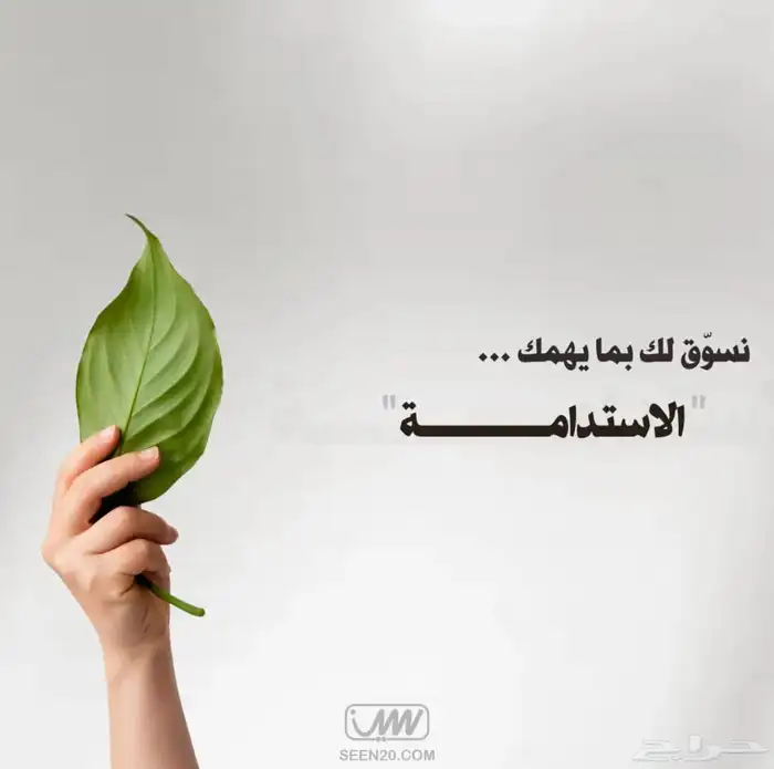 تصميم هوية بصرية كاملة تميز نشاطك 0