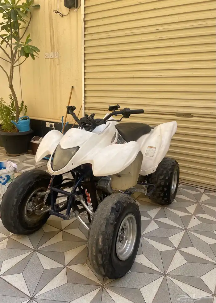 دباب زد 250 1