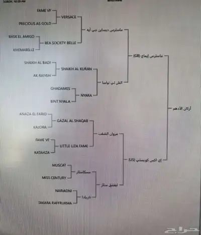 حصان واهو مكس index