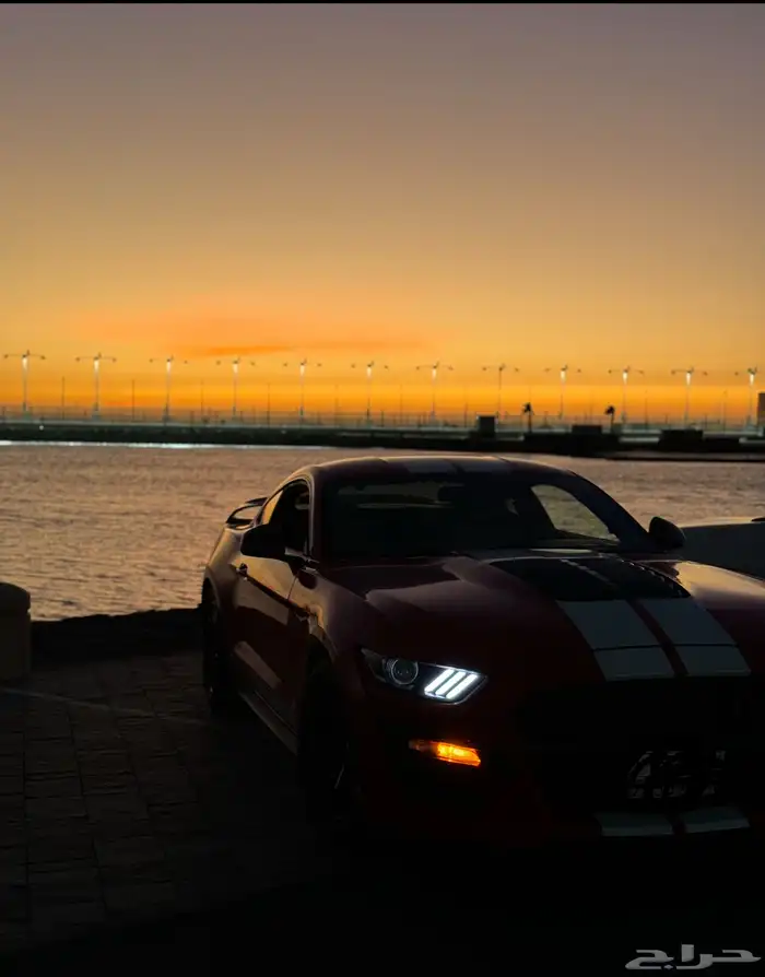 موستنج 2015 - V6 16