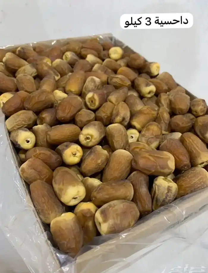 تمر حائل رطب ومناصيف 5
