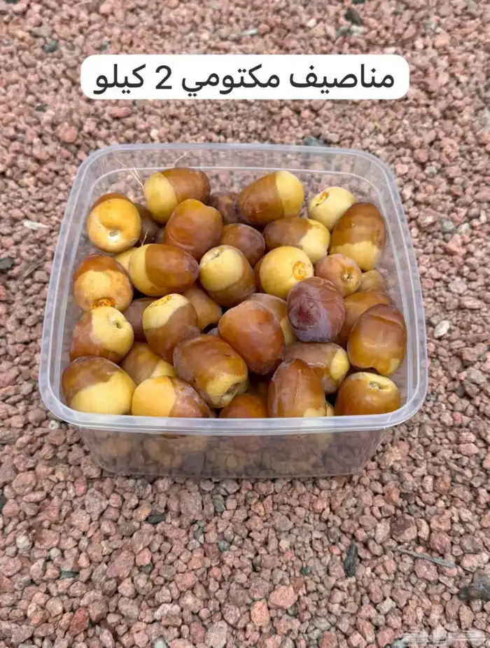 تمر حائل رطب ومناصيف 3